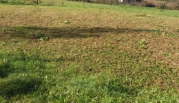 Teren intravilan de vanzare/schimb in sat Hartagani, comuna Baita,4703mp