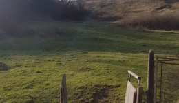 Teren (o parte intravilan si cealalta extravilan) de vanzare in sat Barbura, comuna Baita, suprafata 24 000 mp(2.4 hectare)