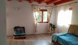 Casa de vanzare sat Sacaramb, suprafata utila 110mp+teren 3000mp