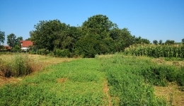 Teren intravilan de vanzare in Cristur, suprafata 500mp