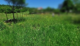 Teren intravilan in Simeria, 2500mp (2 parcele : o parcela de 1500mp si cealalta de 1000mp)
