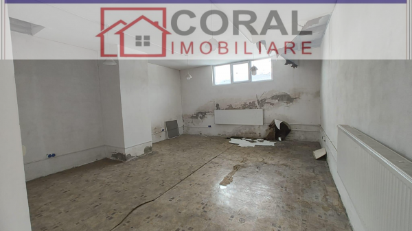 De inchiriat 2 hale, zona ultracentrala